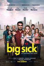 Watch The Big Sick FMoviesFree