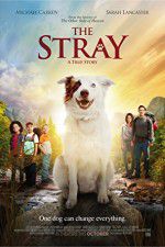 Watch The Stray FMoviesFree