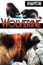 Watch National Geographic Phantom Wolverine FMoviesFree