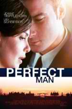 Watch A Perfect Man FMoviesFree