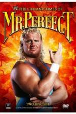 Watch The Life and Times of Mr Perfect FMoviesFree