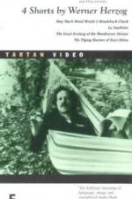 Watch La Soufria?re - Waiting For An Inevitable Disaster FMoviesFree