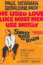 Watch Sweet Bird of Youth FMoviesFree