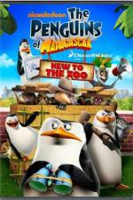Watch Penguins of Madagascar New to the Zoo FMoviesFree