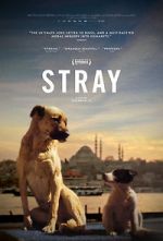 Watch Stray FMoviesFree