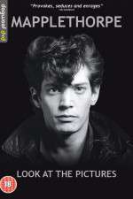 Watch Mapplethorpe: Look at the Pictures FMoviesFree