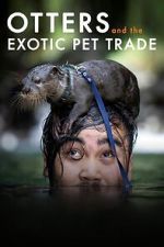 Watch Otters and the Exotic Pet Trade FMoviesFree