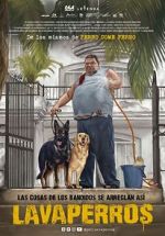Watch Dogwashers FMoviesFree