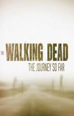Watch The Walking Dead: The Journey So Far FMoviesFree