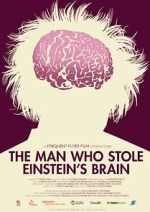 Watch The Man Who Stole Einstein\'s Brain FMoviesFree