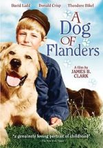 Watch A Dog of Flanders FMoviesFree