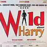 Watch Wild About Harry FMoviesFree