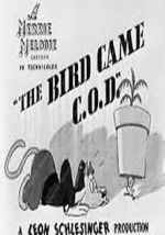 Watch The Bird Came C.O.D. (Short 1942) FMoviesFree