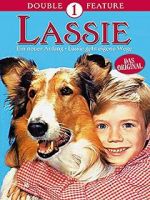 Watch Lassie: A New Beginning FMoviesFree