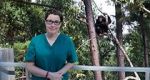 Watch Sue Perkins and the Chimp Sanctuary FMoviesFree