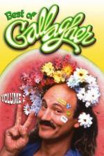 Watch Gallagher Stuck in the Sixties FMoviesFree