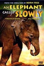 Watch An Elephant Called Slowly FMoviesFree