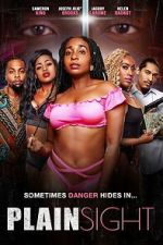 Watch Plain Sight FMoviesFree