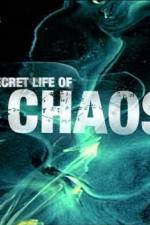 Watch The Secret Life of Chaos FMoviesFree