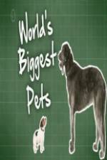 Watch World's Biggest Pets FMoviesFree