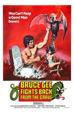 Watch Bruce Lee Fights Back from the Grave FMoviesFree