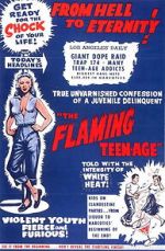 Watch The Flaming Teenage FMoviesFree