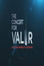 Watch The Concert for Valor FMoviesFree