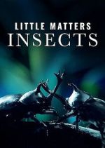 Watch Little Matters: Insects FMoviesFree