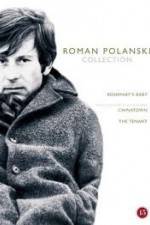 Watch The Fat and the Lean FMoviesFree