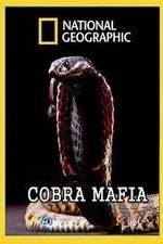 Watch National Geographic Cobra Mafia FMoviesFree
