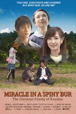 Watch Miracle in Kasama FMoviesFree