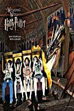 Watch Harry Potter and the Forbidden Journey FMoviesFree