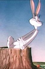 Watch The Unruly Hare FMoviesFree