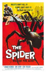 Watch The Spider FMoviesFree
