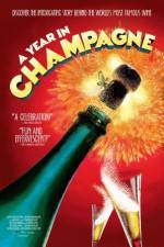Watch A Year in Champagne FMoviesFree