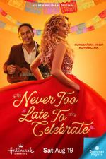 Watch Never Too Late to Celebrate FMoviesFree