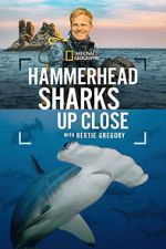 Watch Hammerhead Sharks Up Close with Bertie Gregory FMoviesFree