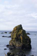 Watch Mad Little Island FMoviesFree