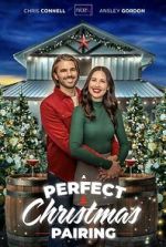 Watch A Perfect Christmas Pairing FMoviesFree