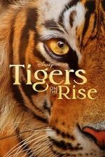 Watch Tigers on the Rise FMoviesFree
