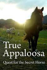 Watch True Appaloosa FMoviesFree