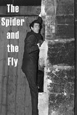 Watch The Spider and the Fly FMoviesFree