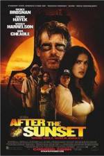 Watch After the Sunset FMoviesFree