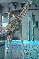 Watch 580 mtres FMoviesFree