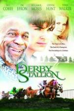 Watch The Derby Stallion FMoviesFree