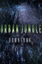 Watch National Geographic Wild Urban Jungle Downtown FMoviesFree