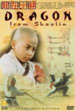 Watch Long zai Shaolin FMoviesFree