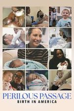 Watch Perilous Passage: Birth in America FMoviesFree