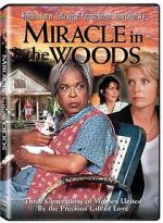 Watch Miracle in the Woods FMoviesFree
