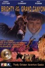 Watch Brighty of the Grand Canyon FMoviesFree